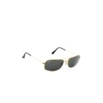 Active Gold Sunglasses