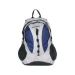 Blue & Grey Backpack