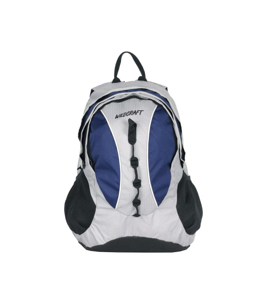 Blue & Grey Backpack