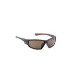 Brown Sunglasses