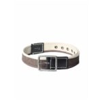 Canvas Brown Belt