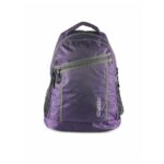 Casual Purple Backpack