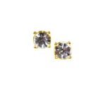 Classic Earrings