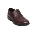 Dark Brown Shoe