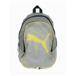 Echo Grey Backpack