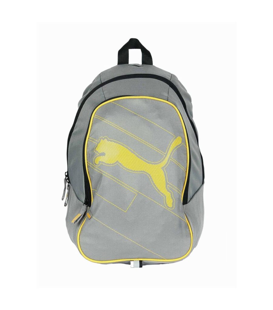 Echo Grey Backpack