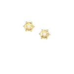 Gold Plated Earrings