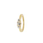 Gold Plated Ring