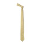 Gold Tie