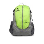Green & Grey Backpack