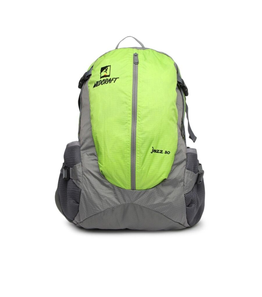 Green & Grey Backpack