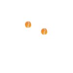 Orange Earrings