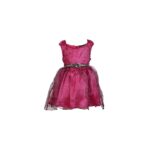 Party Frock Purple Dress