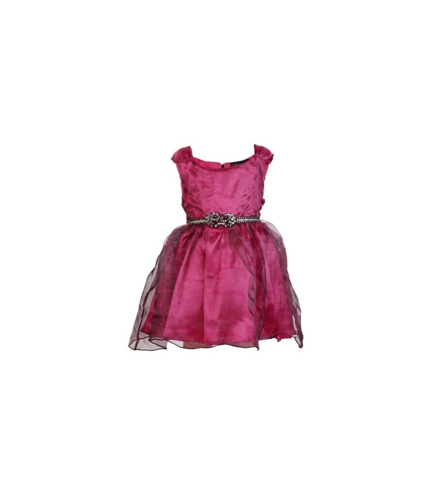 Party Frock Purple Dress