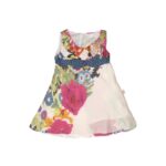 Printed Multi Dress