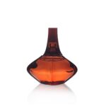 Secret Obsession Perfume Eau De Parfum