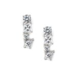 Silver Toned Envy Earrings