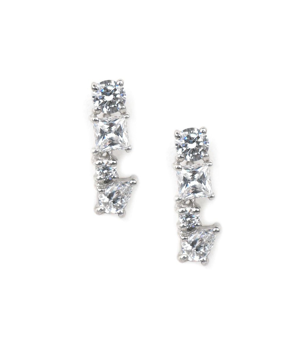 silver-toned-envy-earrings Silver Toned Envy Earrings
