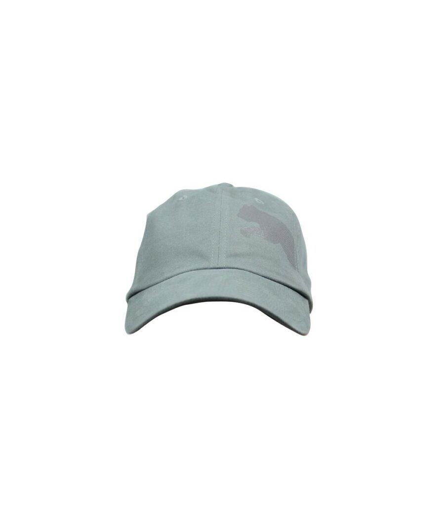 Stripe Cat Steel Grey Cap