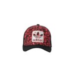 Truck Black Cap